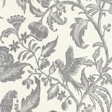 Etourneau Wallpaper | 5 Colours