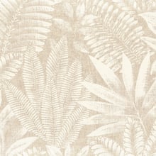 Aloes Wallpaper | 4 Colours