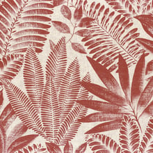 Aloes Wallpaper | 4 Colours