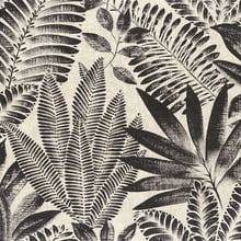 Aloes Wallpaper | 4 Colours